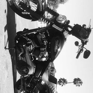 Meet your Posher, Tom